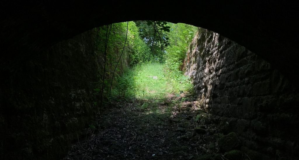 Kiaras Appearances Beyond Main Films Showcased in Diverse Projects